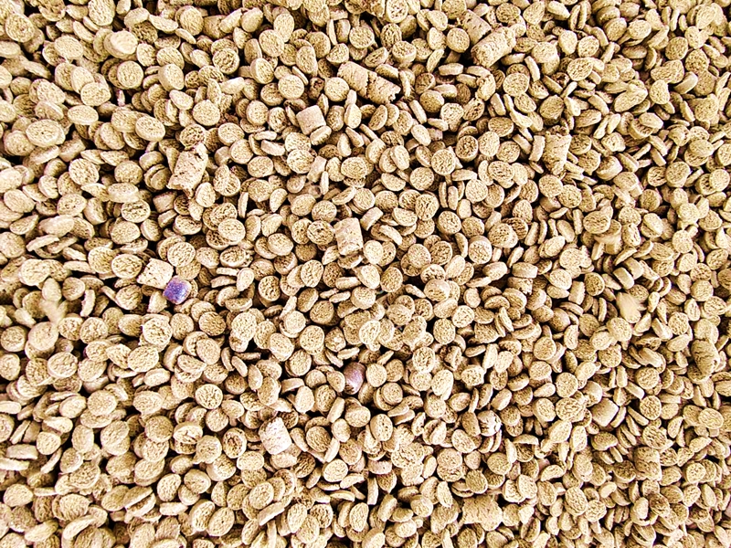 Was ist die Verarbeitungstemperatur der WPC -Granulationsmaschine?