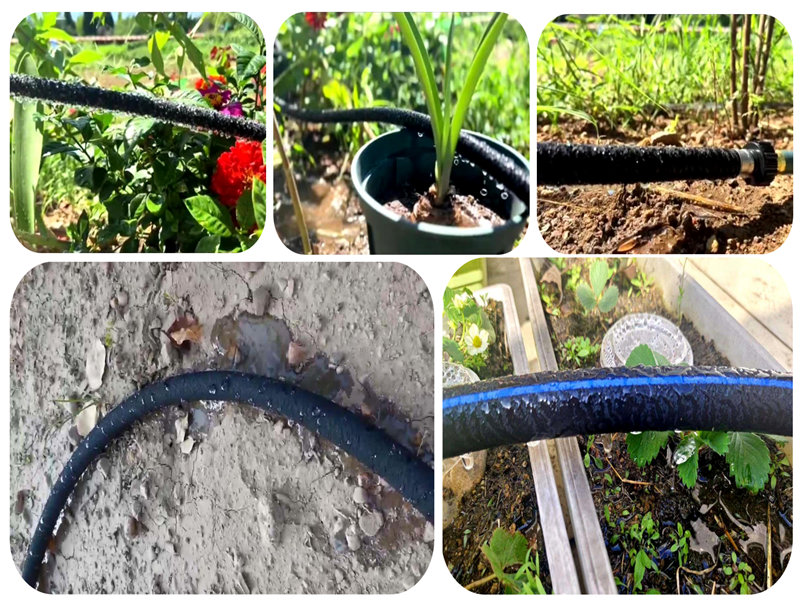 Anwendung von Nano -Versickerungsbewässerungsrohr in sandigen Bodenbewässerung