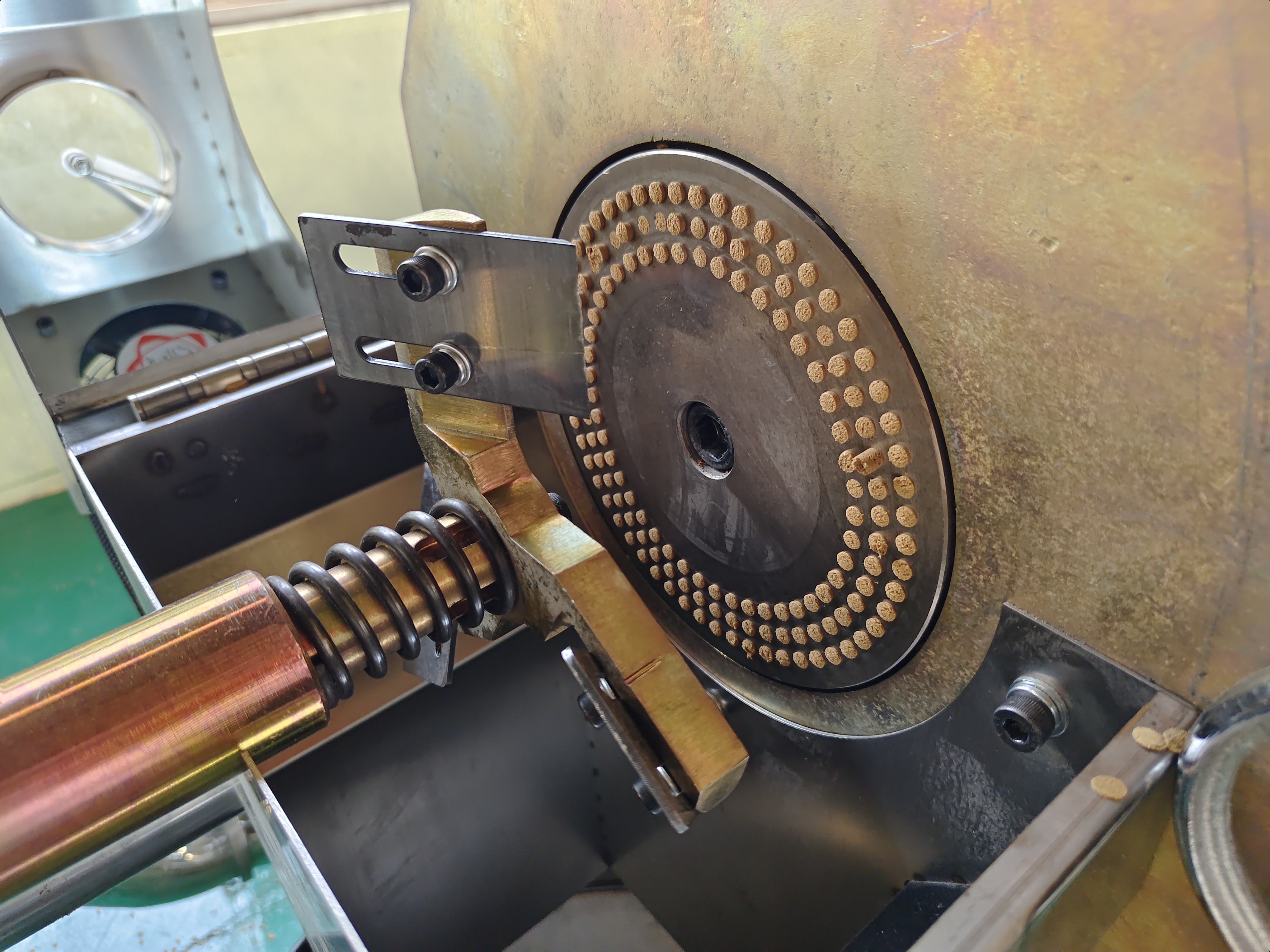 WPC-Granulationsmaschine für Polen